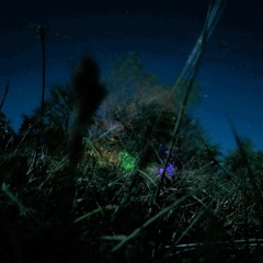 Enchanters - Recorded @ Enchanted Forest 2019