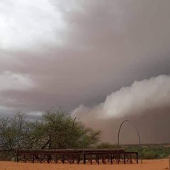 ديمي والنعمة - أحسي المختار