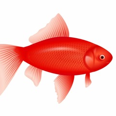 Kırmızı Balık