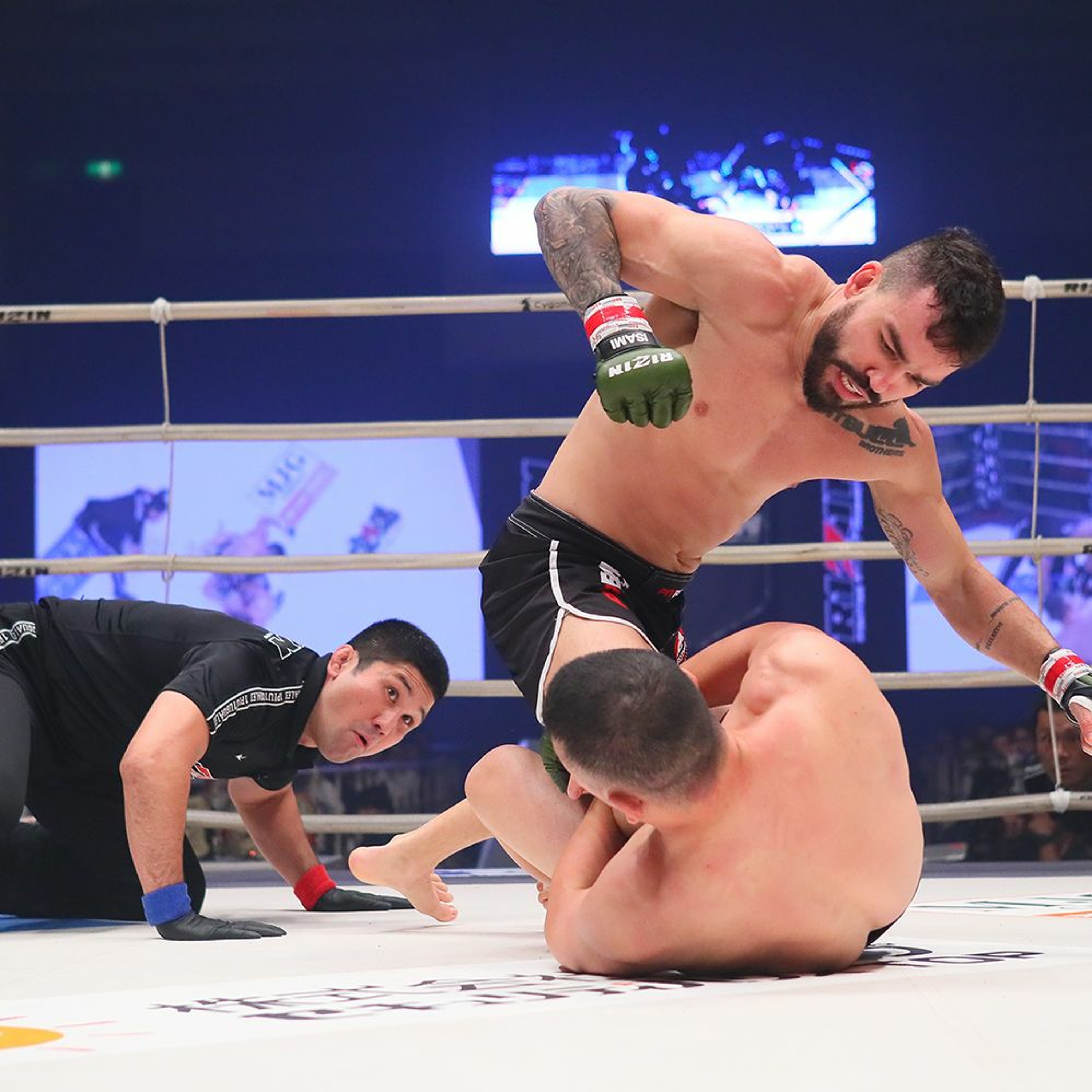 We are Rizin