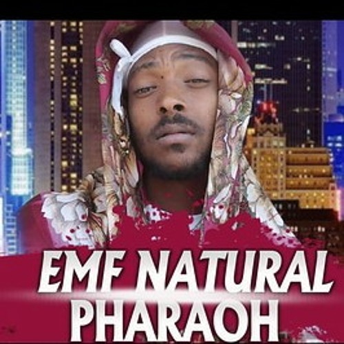 NaturalPharaoh Never Switch  #tunemeapp