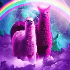 Rainbow Llama Radio