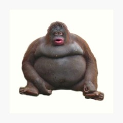 Just Vibing With Le Monke