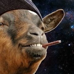 SPACEGOAT