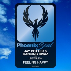 Jay Potter & Dancing Divaz Feat Lee Wilson - "Feeling Happy"