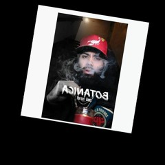 Perico Geez- Botanica (YES Freestyle)