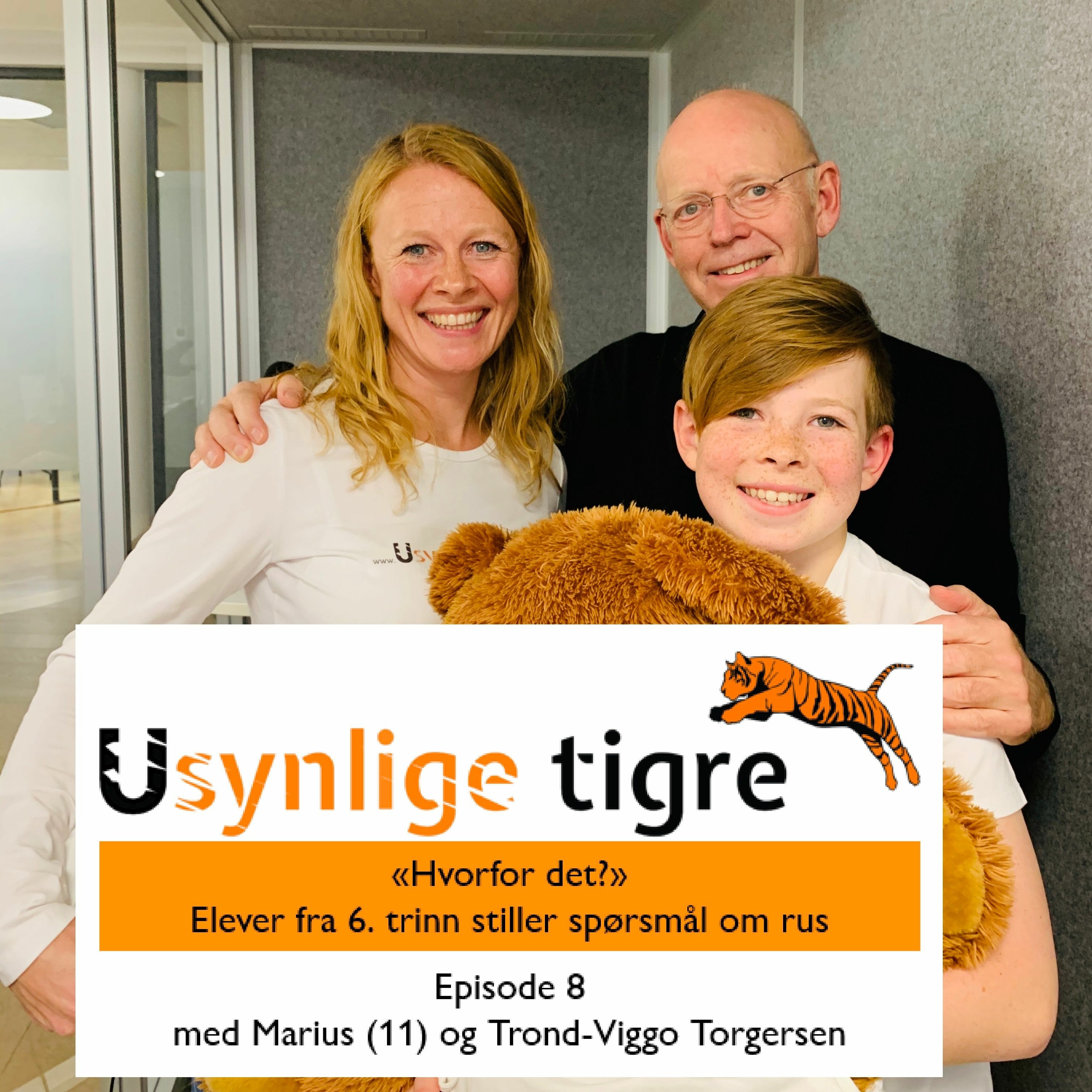 Usynlige tigre-podden