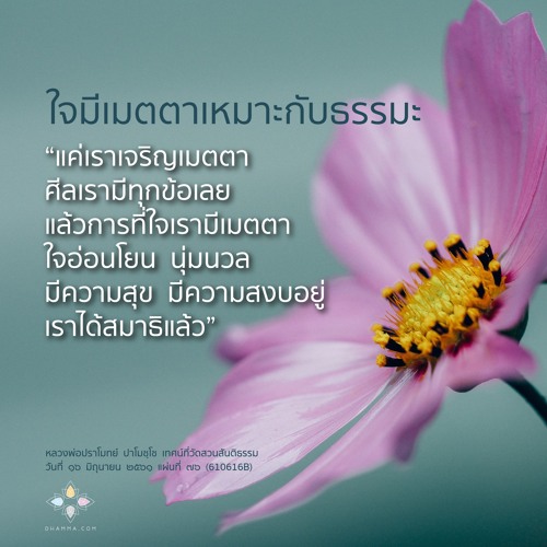 เจริญเมตตาไว้ ศีลมาทุกข้อ :: หลวงพ่อปราโมทย์ ๑๖ มิ.ย. ๒๕๖๑ (610616B)