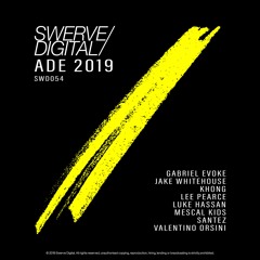 Swerve Digital: ADE Sampler 2019