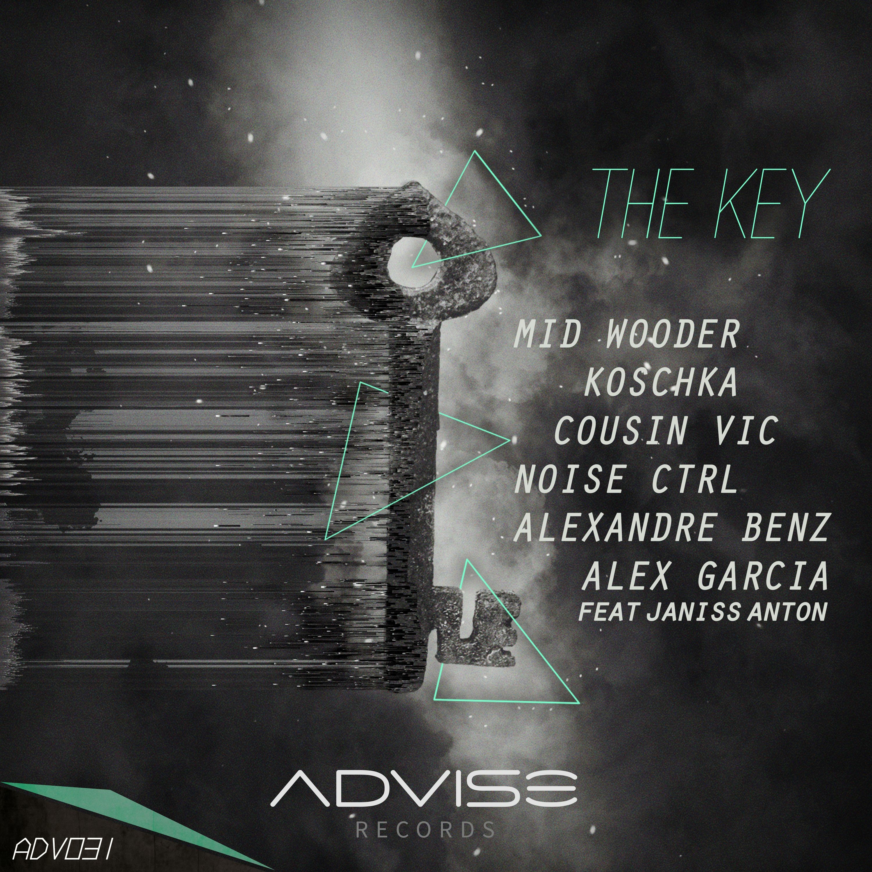 ADVISE Records