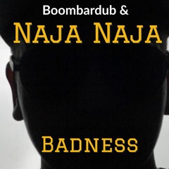 Naja Naja - Badness - Prod. By Boombardub