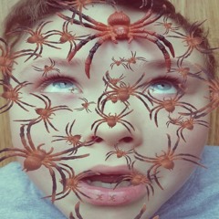 Spiders On Your Face