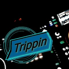 Trippin (collab with DJ  greyhound)