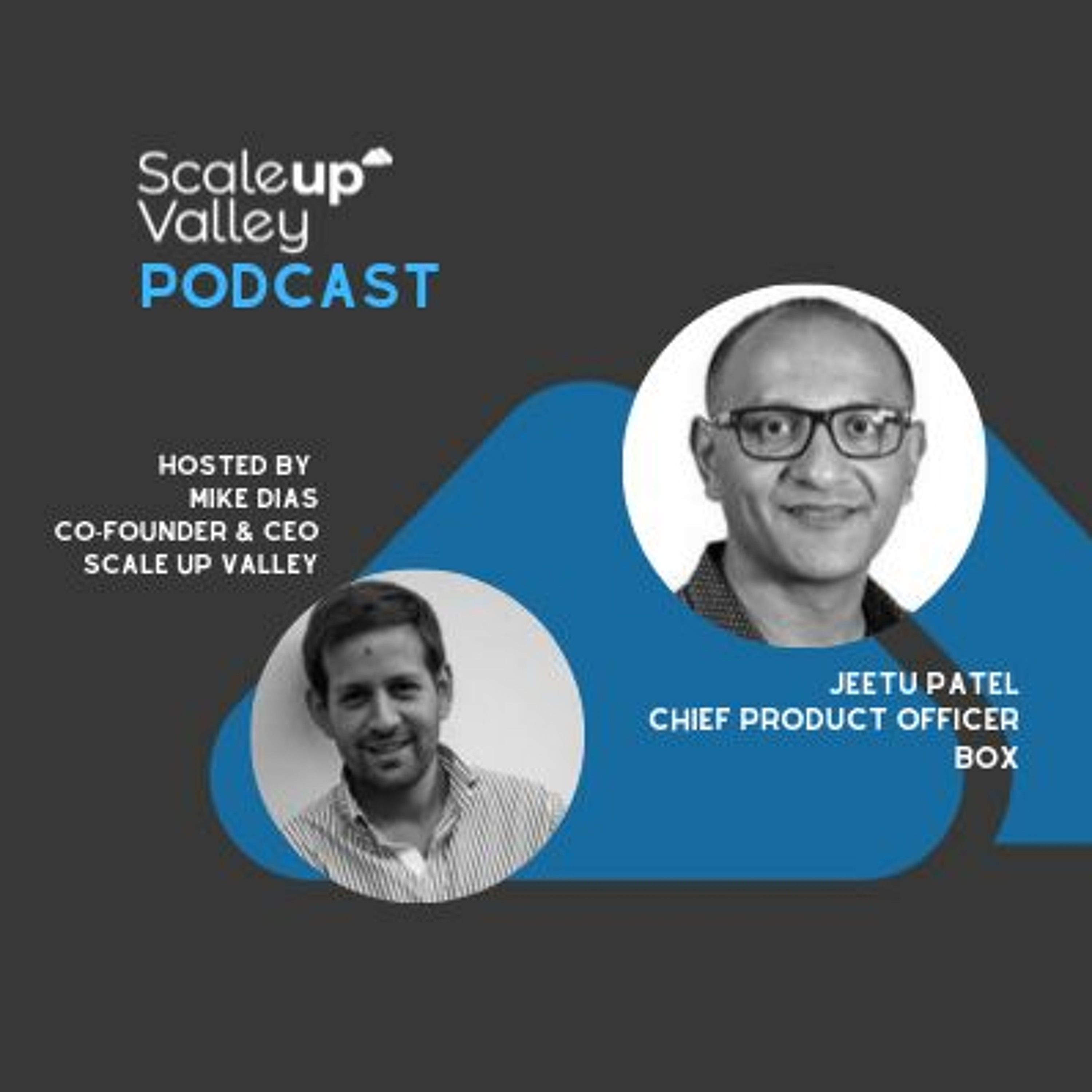Scaleup Valley Podcast