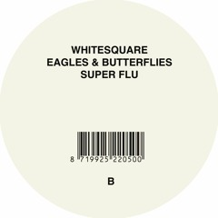 Tunnelvisions - Channel Tropico (The Remixes) - by Whitesquare, Super Flu and Eagles & Butterflies