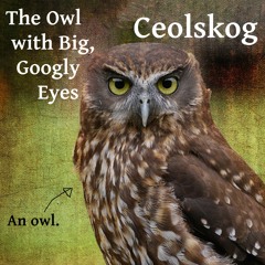 Run Runaway (Slade Cover)