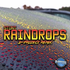 D - PROJECT STUNT RAINDROPS RMX