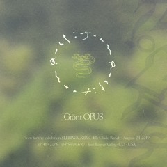 Team Rockit - Grönt Opus