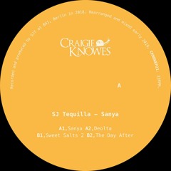 Premiere: SJ Tequilla - The Day After [Craigie Knowes]