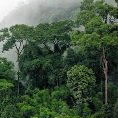 JEWLZ - Not A Lot Of Love