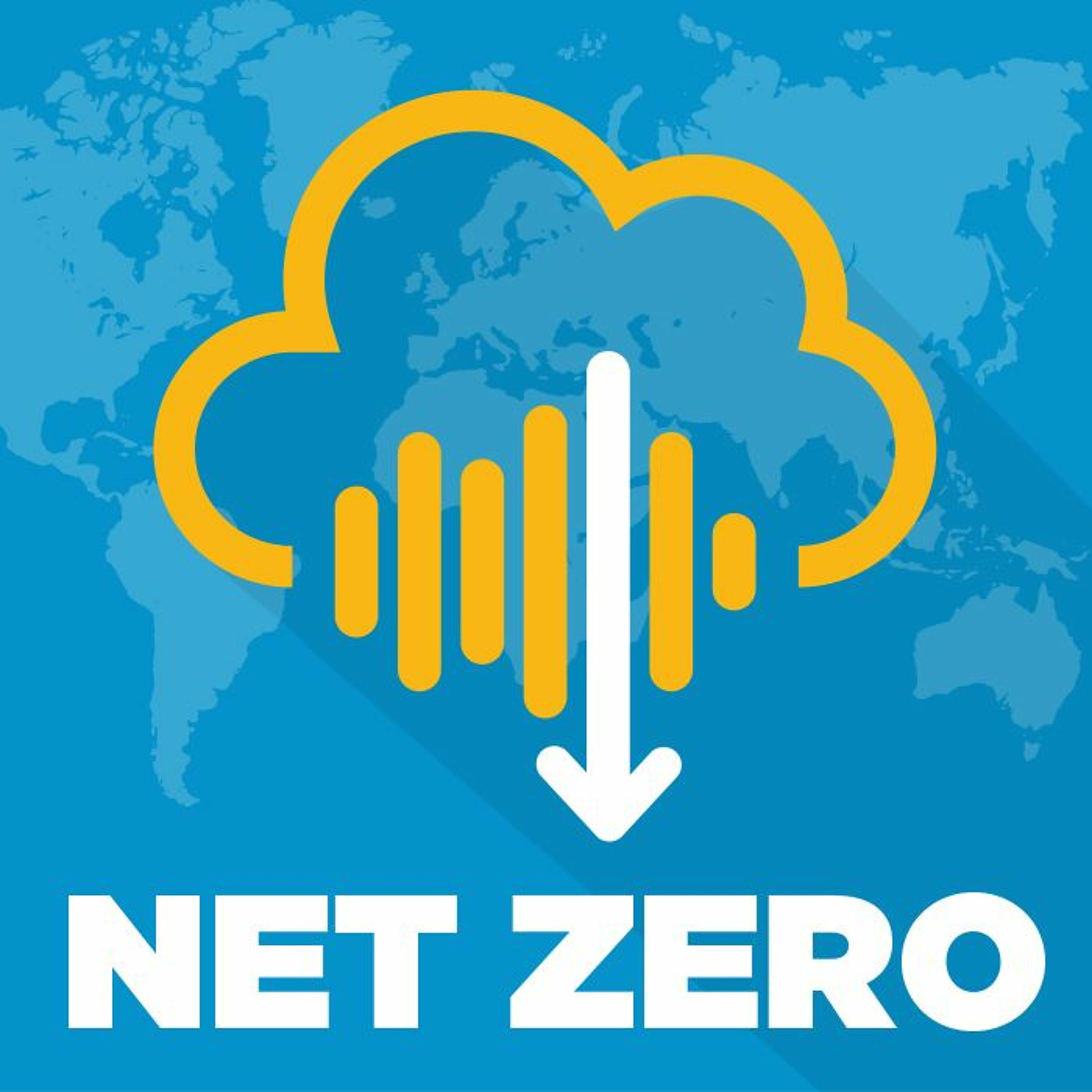 Show me the money – will consumers pay more or less for electricity? | Monika de Volder on Net Zero episode artwork