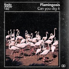 Flamingosis Can You Dig It Radio Juicy Mix