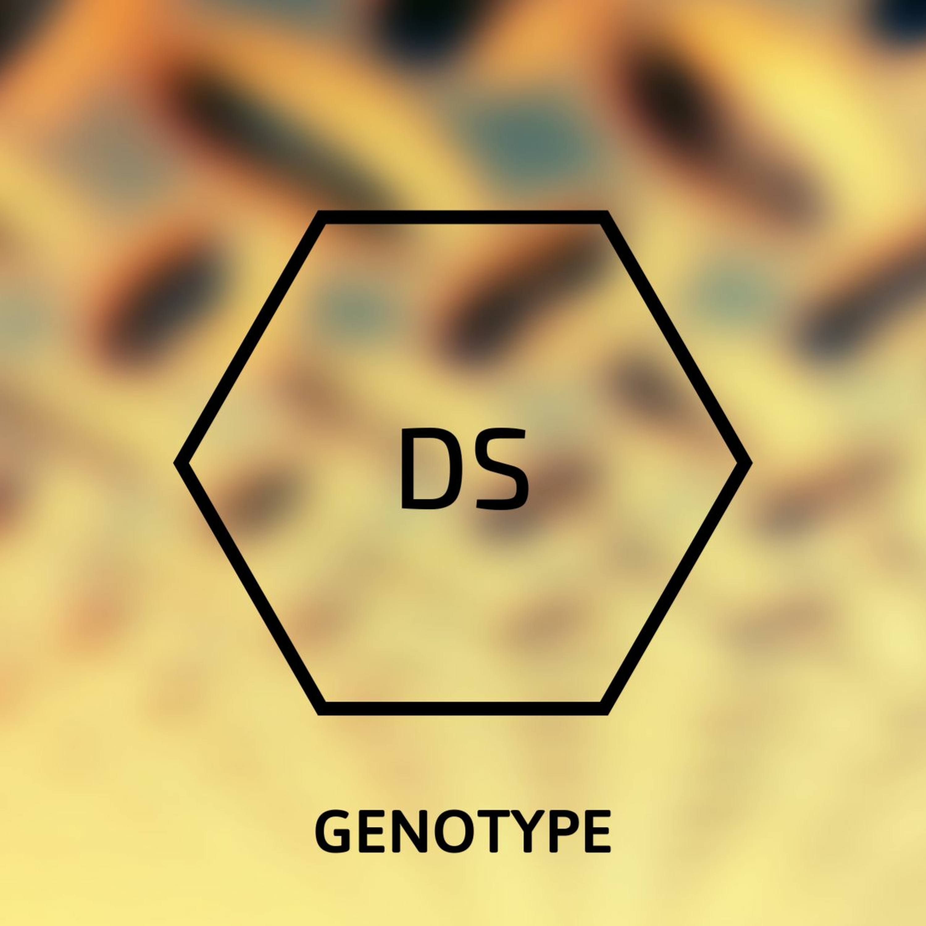 Gentotype - Mud episode artwork