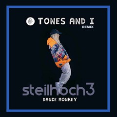Dance Monkey [Steilhoch3 Remix] (Extended Version) Free Download