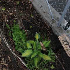 Benedicte I Barnehagen  Hva Finnes Under Jorden