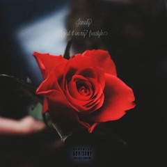JAMALY X PUT IT ON ME (FREESTYLE)