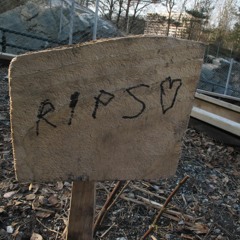 Benedicte I Hagen I Barnehagen