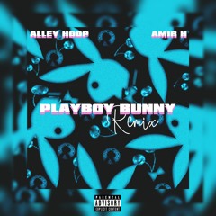 Alley Hoop feat. Amir H - Playboy Bunny Remix