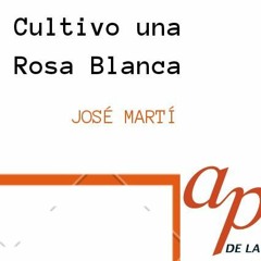 Cultivo Una Rosa Blanca de Jose Maríi Por la maestra Patricia Medina