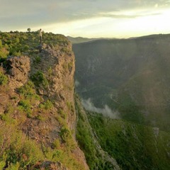 Jarren Benton - Gimme Tha Loot (thib Remix)