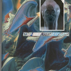 STAR SEARCHERS - FUXIANHUA PREVIZ COILERS