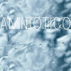 Amniotico
