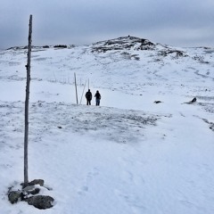 Books Up On The Shelf
