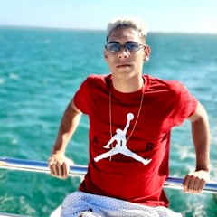 Dj L Martins - Novinha Desenvolve - (Feat. Mc Gw, Mc Mr Bim, Mc Magrinho)