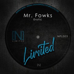 Mr. Fowks - Erotic (Original Mix)