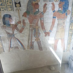 Sample Track 171XX/Views