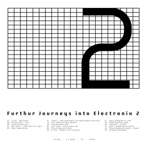 Various - Furthur Journeys Into Electronix 2 - 3x12" (FE 022)