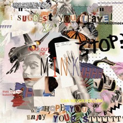 Mink (Prod. ethancx)