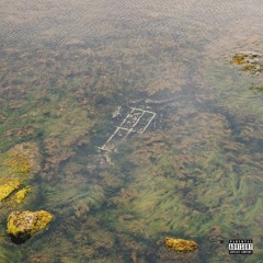 BRING ME FLOWERS, BUT DO NOT BRING ME ROSES