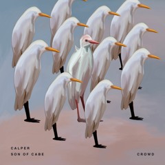 Calper, Son of Cabe - Crowd