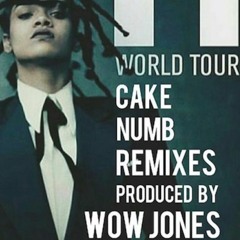 The Official "CAKE"  Anti Tour Remix  Produced By @MRWOWJONES