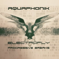 Electrofly - Progressive Breaks & House