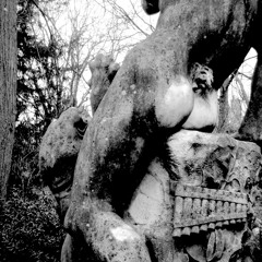 Numero Uno ‎– ZN 50139 / B