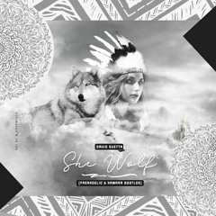 David Guetta - She Wolf (Freakdelic & Kamara Boot) FREE DOWNLOAD!