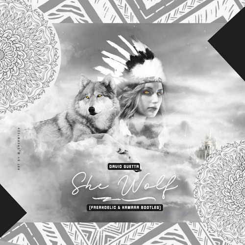 David Guetta - She Wolf (Freakdelic & Kamara Boot) FREE DOWNLOAD!