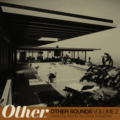 OTHER SOUNDS VOL. 02 Mixed by: atchlei
